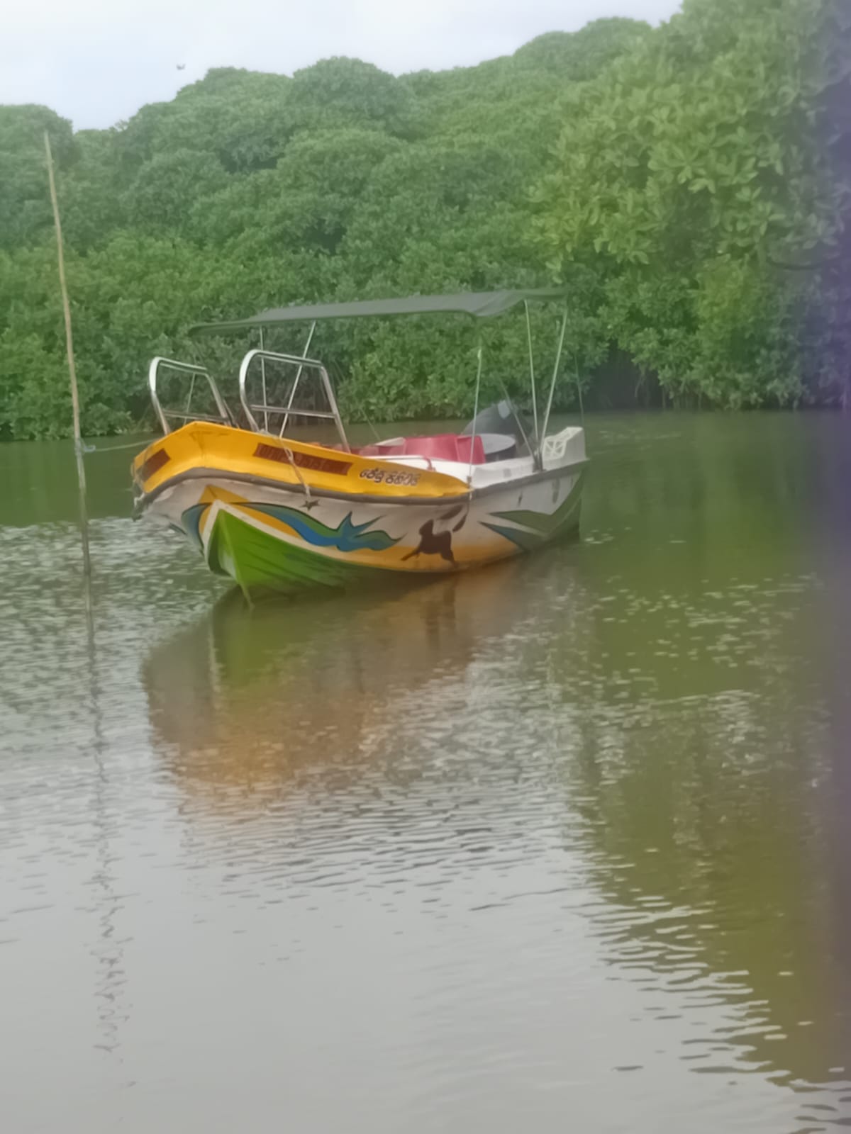 Prasa Boat Safari - Negombo Marine Voyage